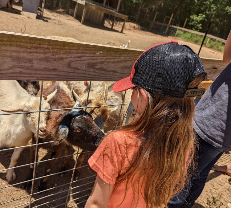 Barefoot Creek Farm Mobile Petting Zoo (Carthage,&nbspNC)